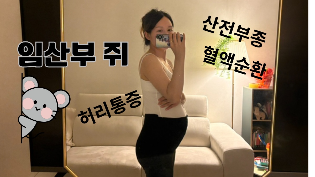 KakaoTalk_20260716_180915481.png KakaoTalk_20260716_180915481.png