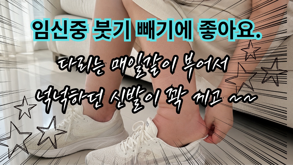KakaoTalk_20260717_132014044.png KakaoTalk_20260717_132014044.png