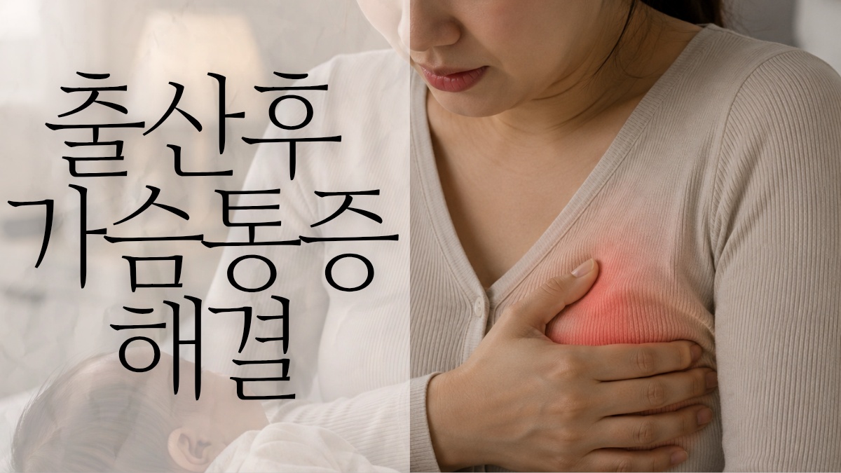 KakaoTalk_20260728_211750585.png